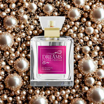 Dreams No. 236 - inspiracja Armani Code Cashmere